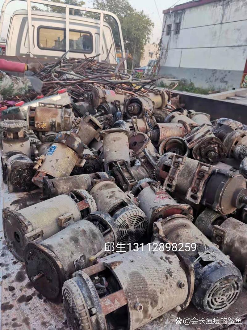 大浪淘金，绿动未来 再生资源回收的使命与行动